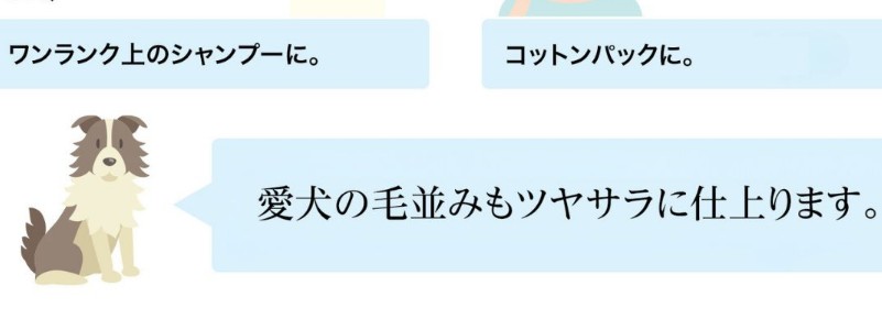 �����ڔN���������C�I���g���[�g�����g�y�A�C�}�C�i�X�z���T�C�g